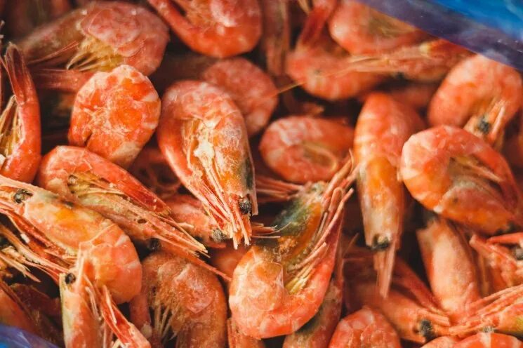 калипсо чита морепродукты. тайский горячий салат. калипсо чита морепродукты. морская продукция чита. калипсо чита морепродукты.