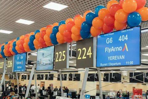 Флай домодедово