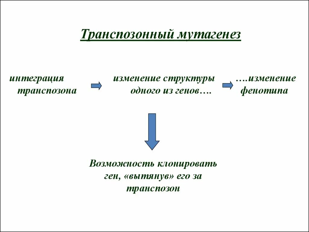 Изменение строения генов