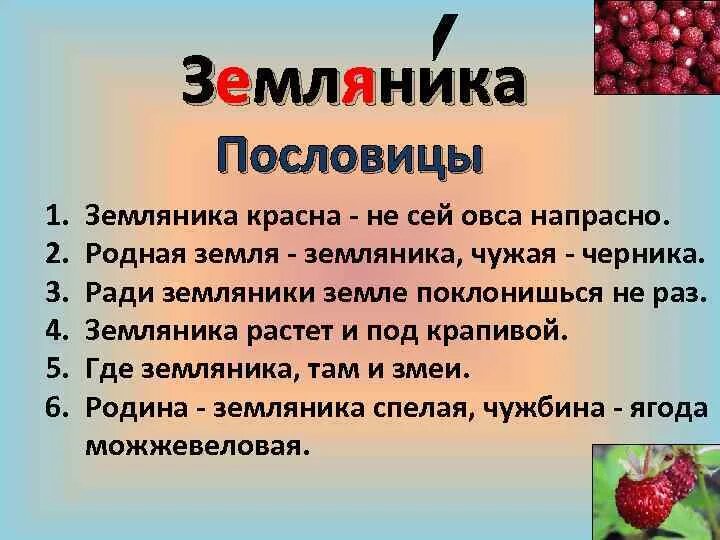 Пословицы со словом земляника. Пословицы о землянике. Поговорки про землянику. Пословицы и поговорки про землянику. Ягодка предложение