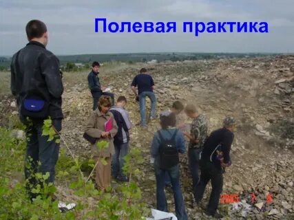 Учебно полевая практика