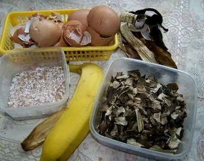 Подкормка из банановой кожуры для комнатных растений