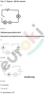 Естествознание 6 класс ответы