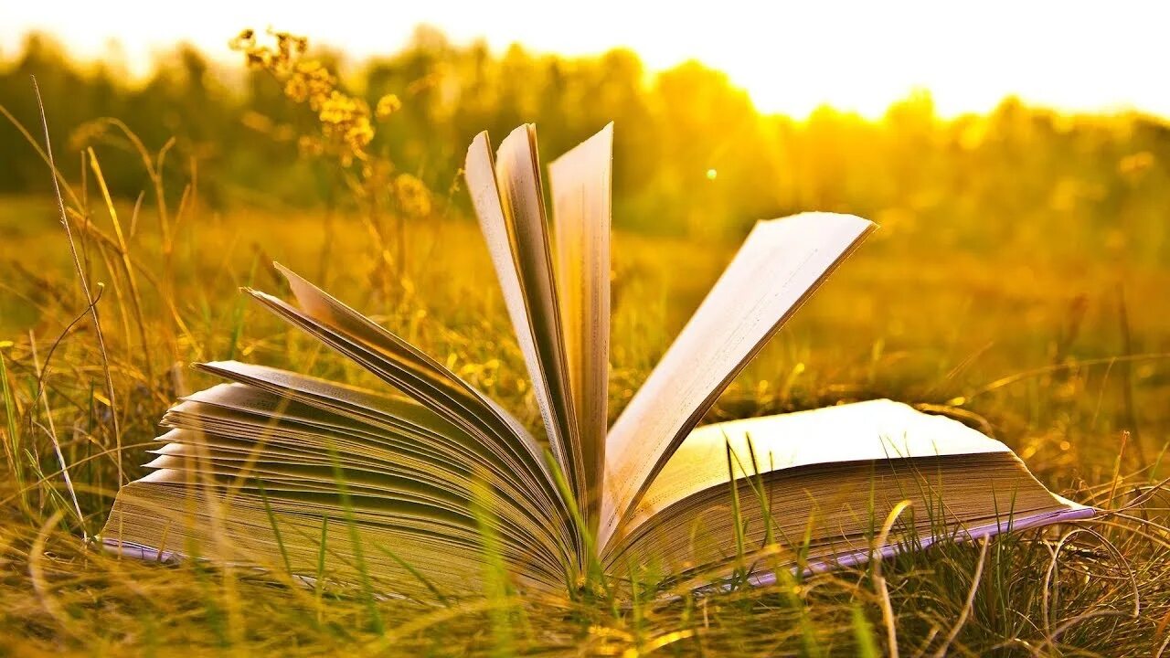 Проект год книги. Раскрытая книга. Книга на траве. Лето с книгой. Книга солнце.