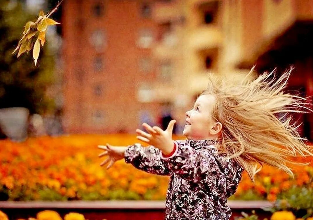 Идти назло. Идти назло. Всегда иди вперед цитаты. Росток сквозь асфальт. Живи вопреки всему.