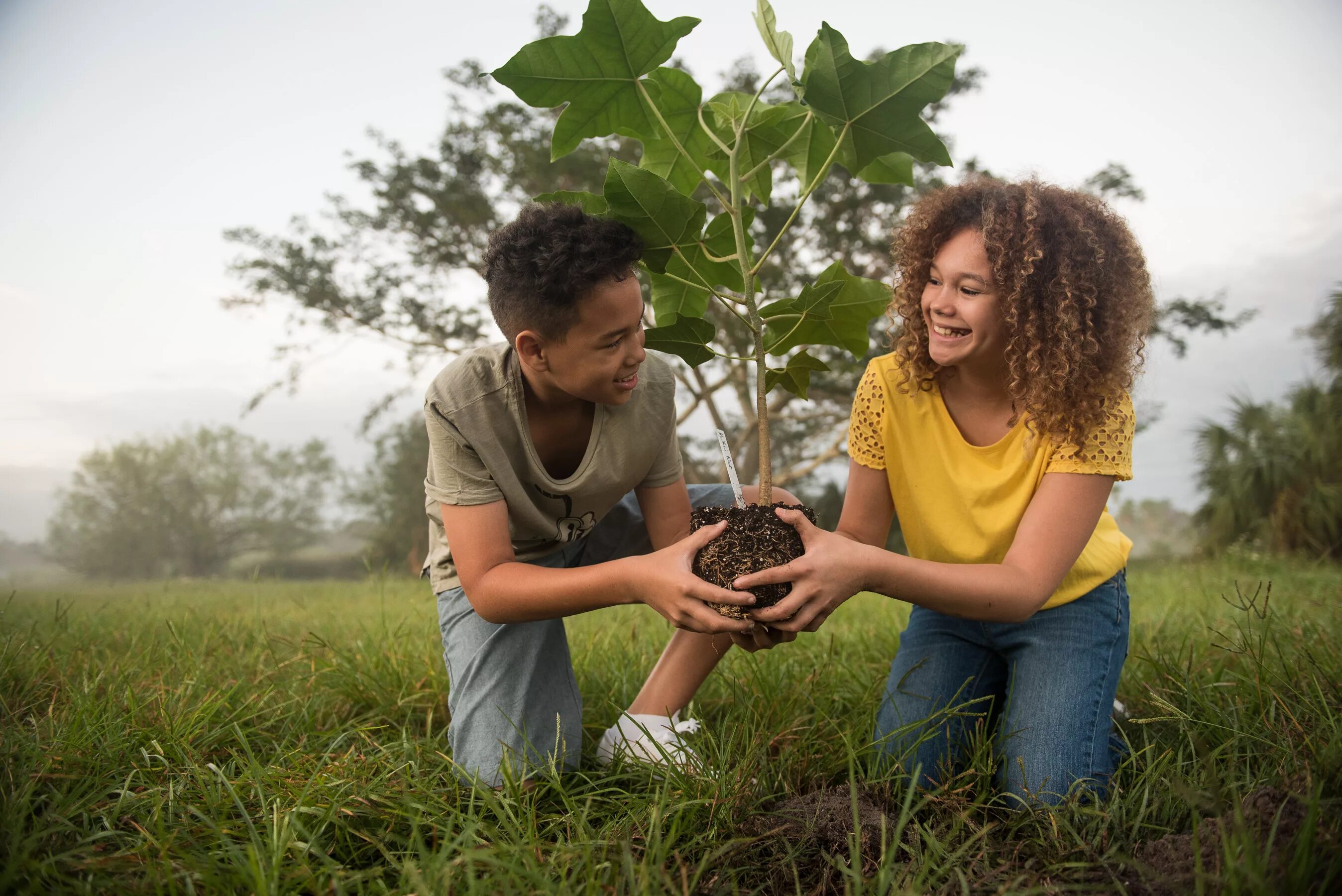 People take care of nature. Environment. Окружающая среда лицо. Environment Conservation. Партнеры природа.