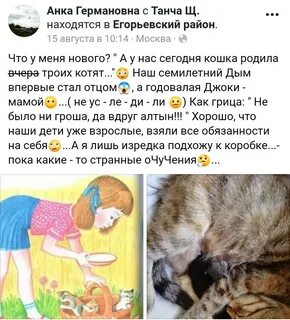 Кошка анка