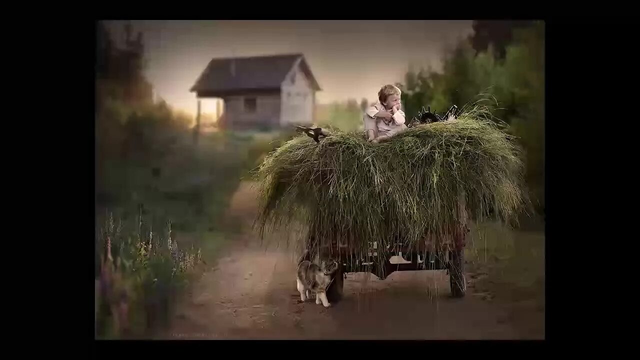Ноты народных песен. Навстречу иисусу город вышел слова. Частушки ноты для баяна. Слова песни комсомольцы добровольцы текст. Партитура конь.