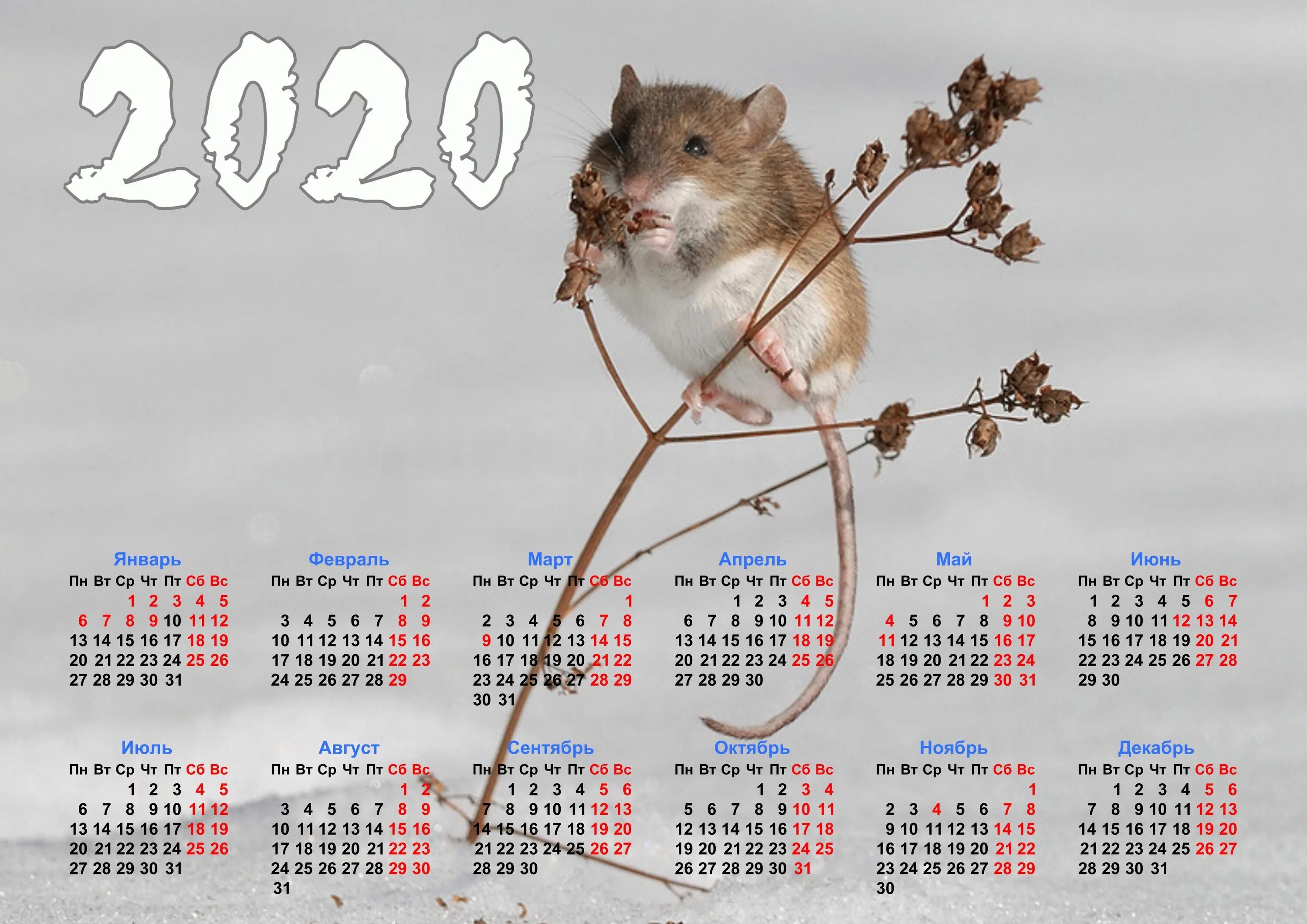 Календарь 2020 2021 год. Календарь. Календарь 2020г. Календарь на 2020 год. Календарь на 2023 год.