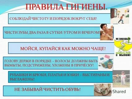 Правила профилактики гигиены