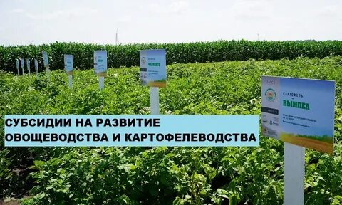 Федеральный центр овощеводства