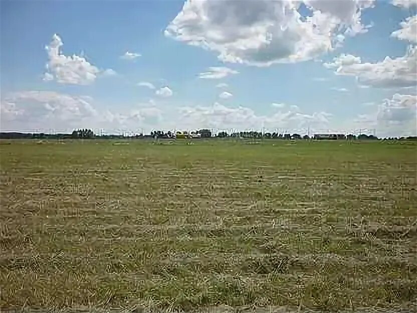 Земли сельхозназначения липецкая область. Земельный участок в поле. Фащевка липецкая область фото. Выделенный земельный пай. Земли сельхозназначения липецкая область.