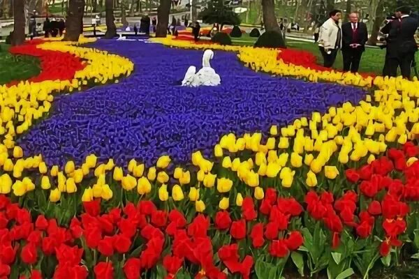 Фестиваль тюльпанов в стамбуле 2024. Парк гюльхане фестиваль тюльпанов. Фестиваль тюльпанов в стамбуле эмирган. Парк эмирган в стамбуле тюльпаны. Фестиваль тюльпанов в стамбуле 2024.