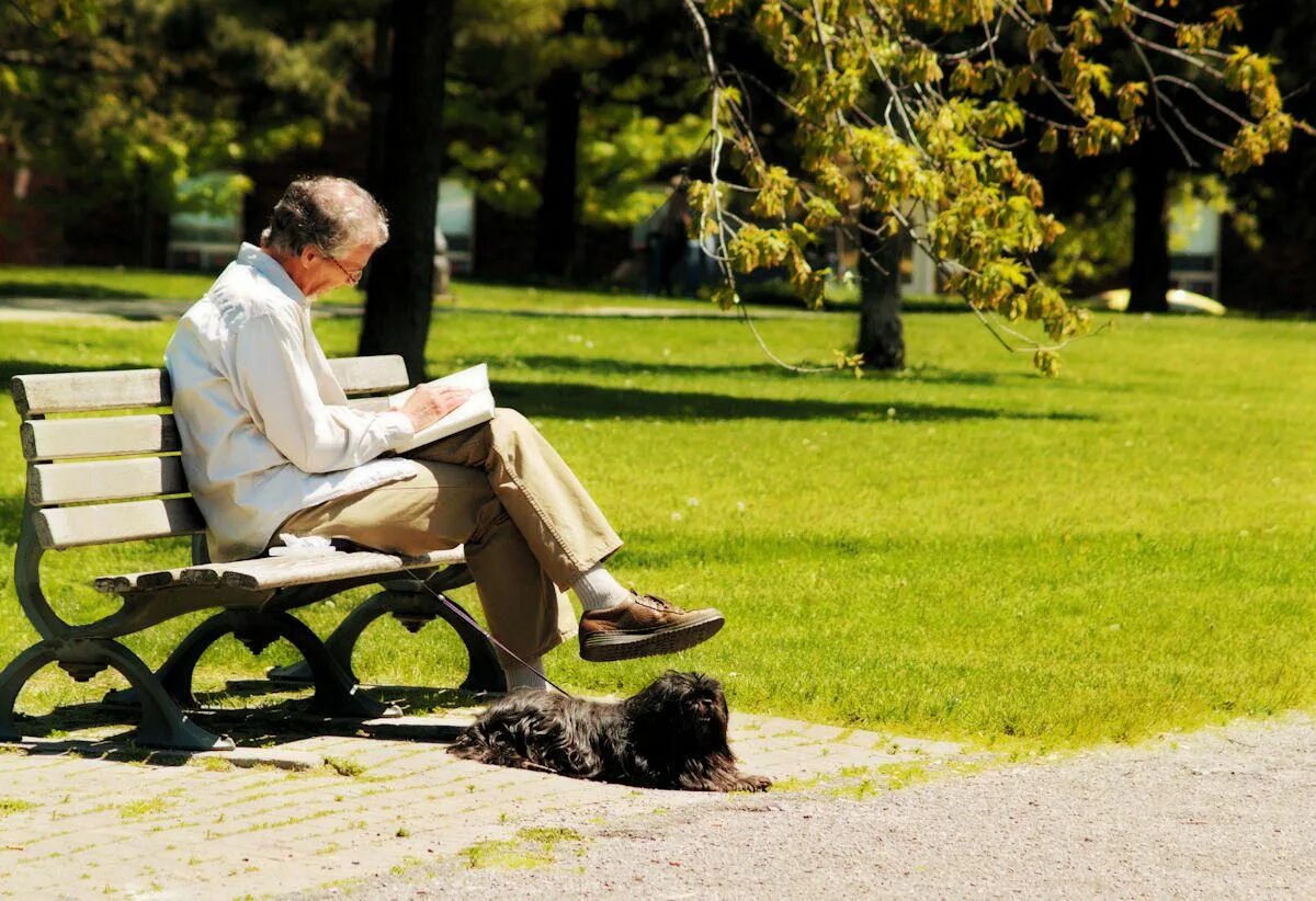 Люди на лавочке. Человек на скамейке. Люди на лавочке в парке. Мужчина в парке на скамейке. Sit on a bench