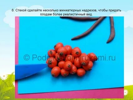 Рябина что с ней делать