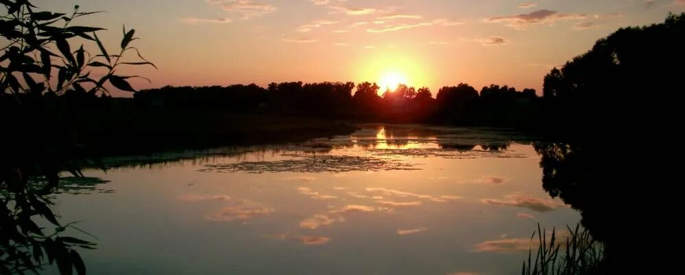 Тамбовская область Сосновский район село Федоровка. Тамбовская область Жуковский район деревня Федоровка. Деревня Федоровка Тамбовская обл Увароский РН. Пос.Пески Сосновского района Тамбовская область фото.