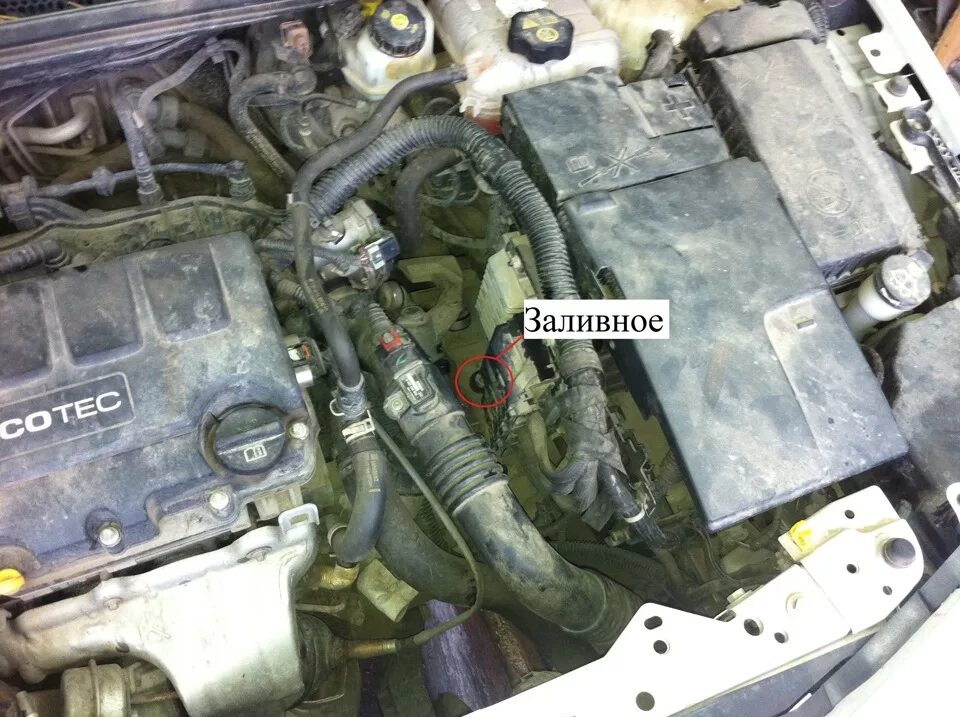 Опель астра как заменить масло Замена масла в мкпп Opel Astra H GTC, 1,6 л, 2008 года визит на сервис DRIVE2