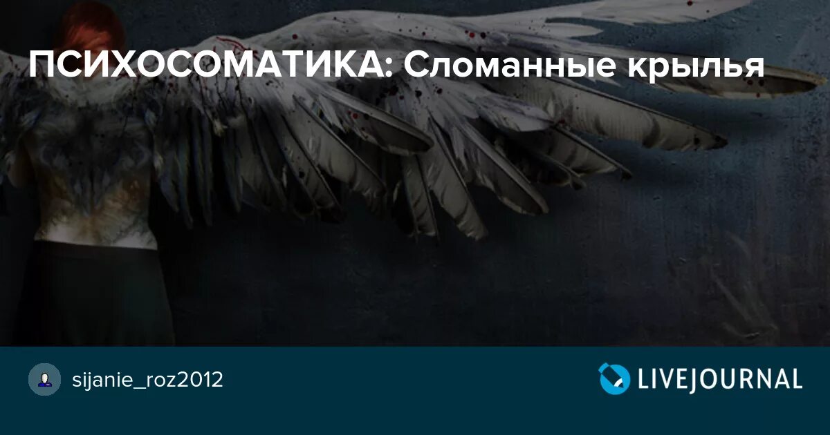 Найти сломанные крылья. Сломанные Крылья Ахмед. Сломанные Крылья превращают женщину. Зачем нам поломанные Крылья. Сломанные Крылья психология личности.