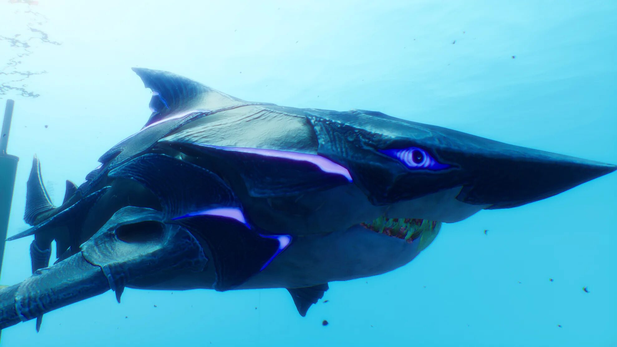 Тревор хендерсон летающая акула. Акула пожиратель. Хангри шарк эволюшн акула молот. Maneater dlc truth quest. Акула maneater shark.