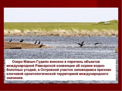Маныч гудило где находится