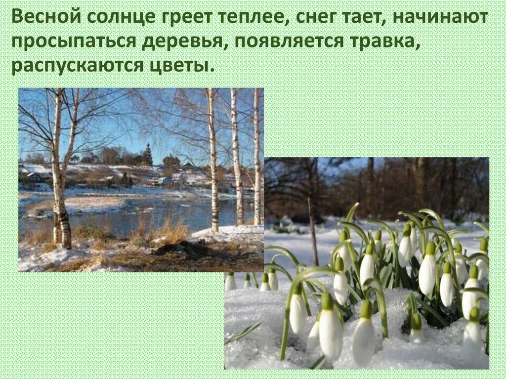 Весной солнце греет сильнее. Солнце греет весной. Тает снег весной.