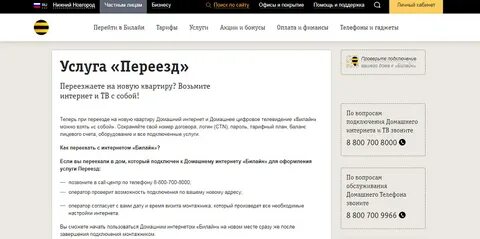 Домашний интернет заявки билайн