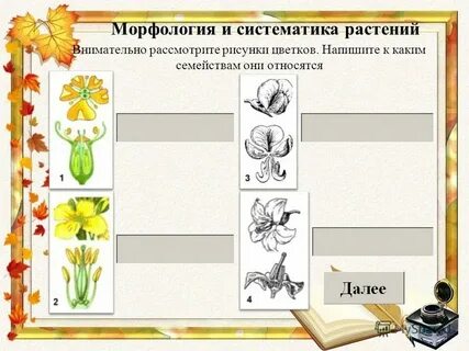 Систематика олимпиады 4 класс