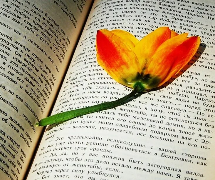 Жизнь между строк. Между строк цитаты. стих между строк. читать между строк. иллюстрации между строк.