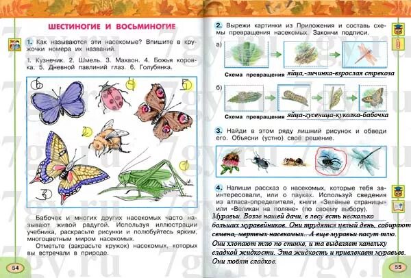 Окружающий мир страница 55 номер. Атлас определитель зеленые страницы насекомые. Атлас определитель книга зеленые страницы про насекомых. Насекомые окружающий мир. Насекомые по окружающему миру 2 класс.