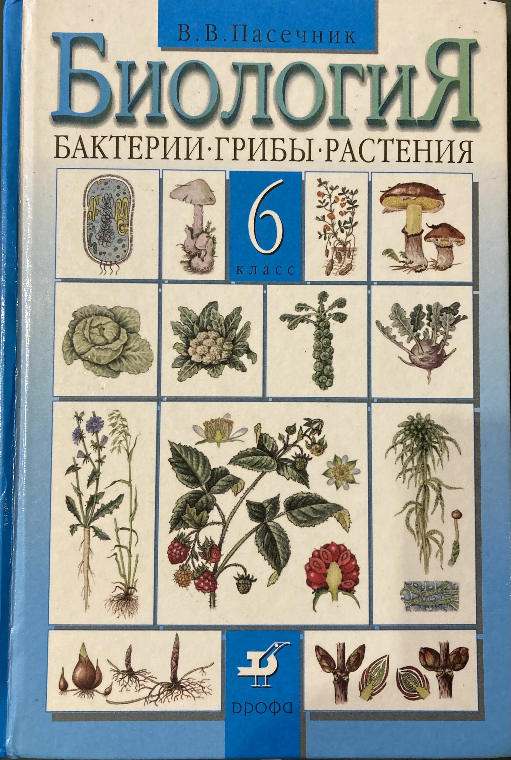 Пасечник биология 8 класс 2023 читать. Биология 6 класс Дрофа. Советский учебник биологии. Биология 6 класс Пасечник. Биология 6 класс учебник Пасечник.