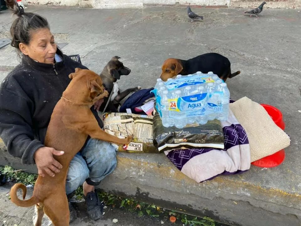 Homeless women. Женщина и бездомная собака. Женчинв Бездомный собаки. Женщина помогла бездомному.