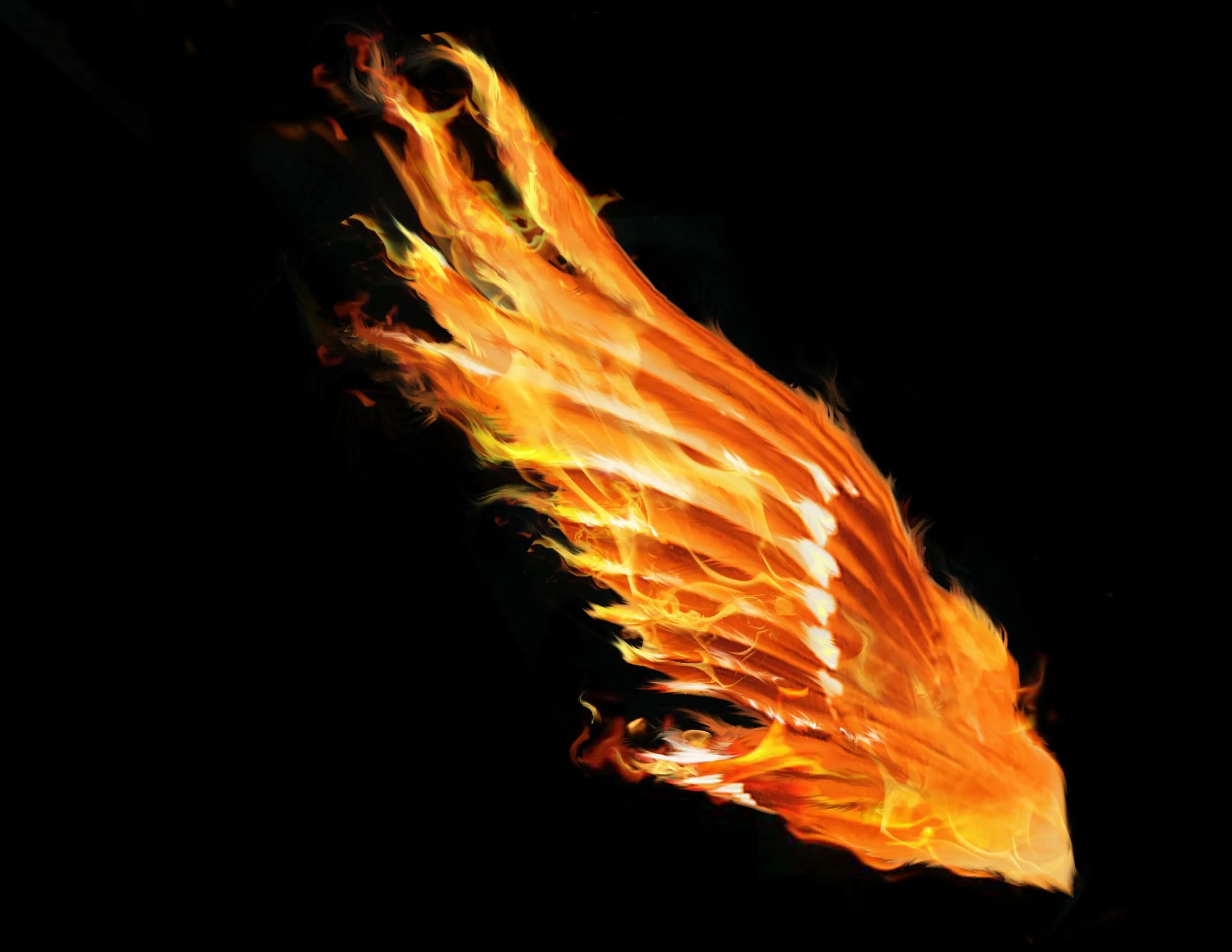 Феникс горячая. Огненные Крылья. Крылья из огня. Огонь. Крылья Феникса.