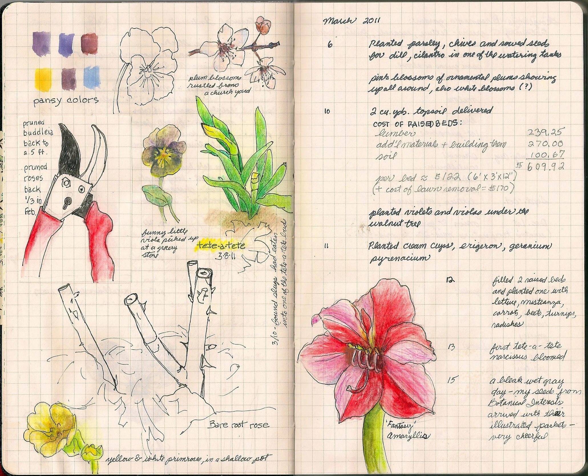 Садовый дневник. Блокнот садовника. Как оформить Ботанический дневник. Проект ботаника 31 глава на русском