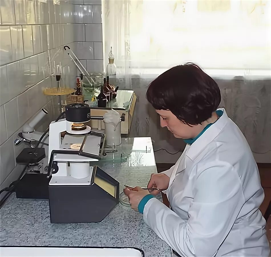 главный ветеринарный врач иркутской области. прокуратура иркутской области сотрудники. главный ветеринарный врач иркутской области. служба ветеринарии иркутской. служба ветеринарии иркутской.