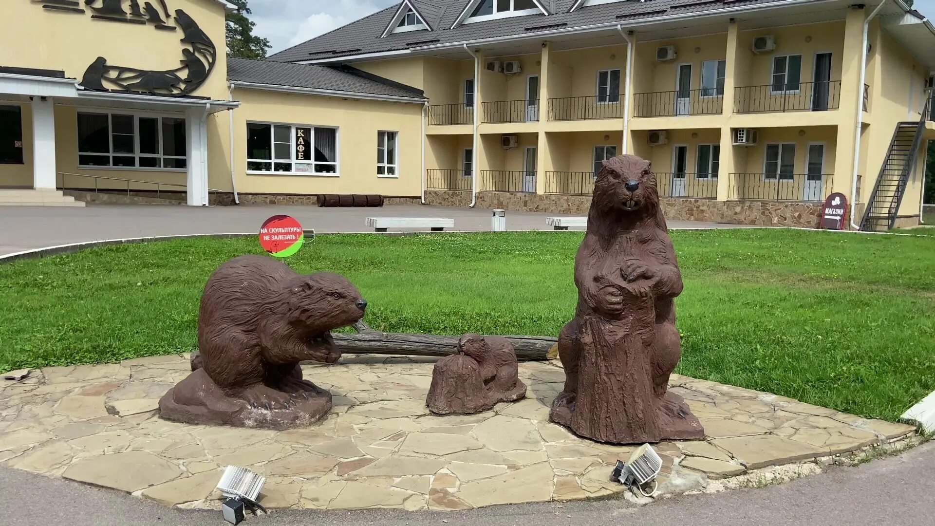 Воронежский биосферный заповедник Бобровый городок. Воронежский биосферный заповедник бобры. Бобры в Воронеже заповедник. Бобров Воронеж. Дом бобра воронежская