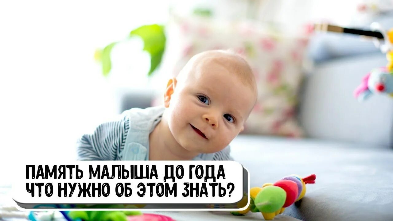 Память младенца. Память у детей до года. память грудного ребенка. память для новорождённых.