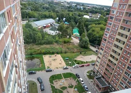 Посад свежие