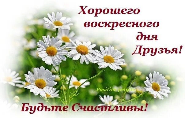 Летняя воскресная. Отличного воскресного дня. Доброго воскресенья. Отличного воскресенья и отличного настроения. Хорошего воскресенья и отличного дня.