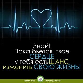 Спой со мной пока сердце бьется текст