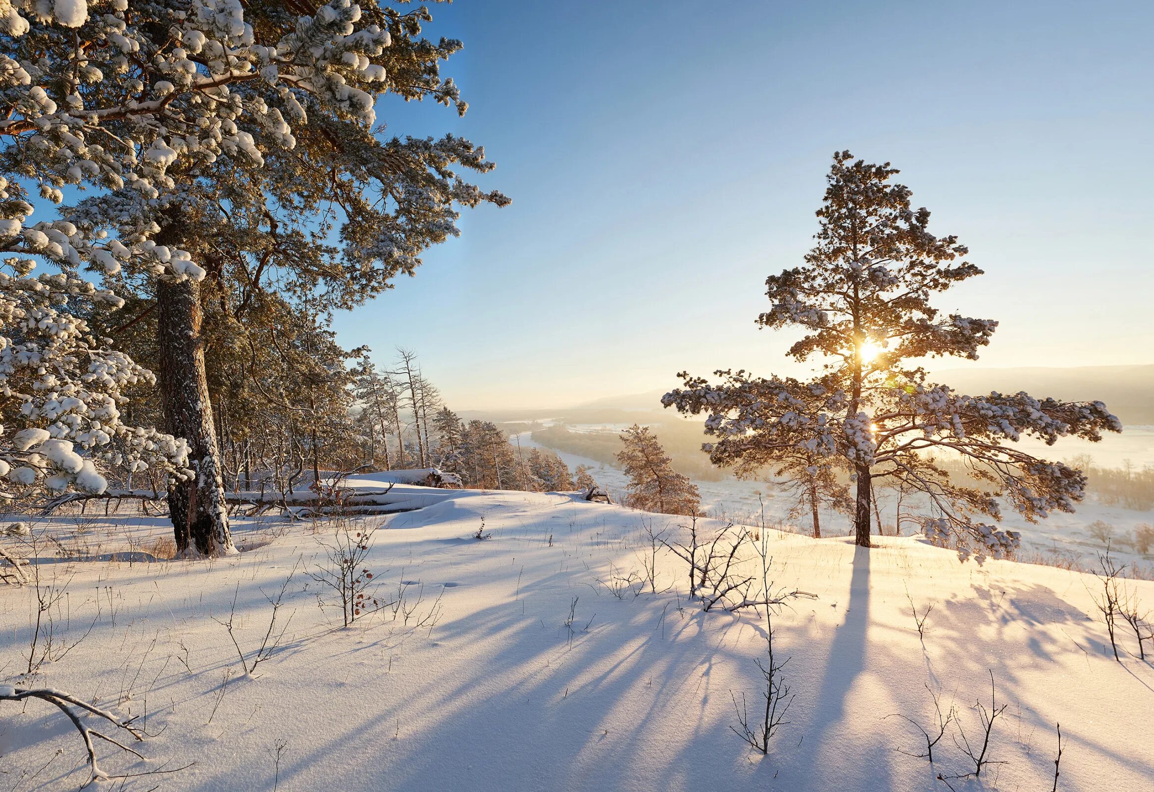 Зимы поволжья. Поволжье зимой фото. Зима в поволжье. Зимы поволжья. Зимняя природа.