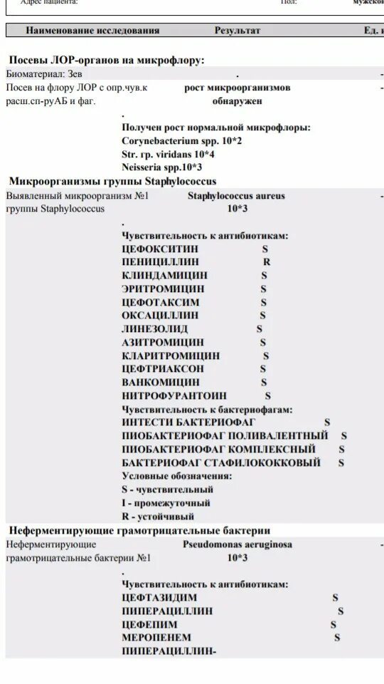 Посев лор органов. Посев на микрофлору. Рост микроорганизмов обнаружен посев на флору. Посев на микрофлору ЛОР. Посев на флору расшифровка.