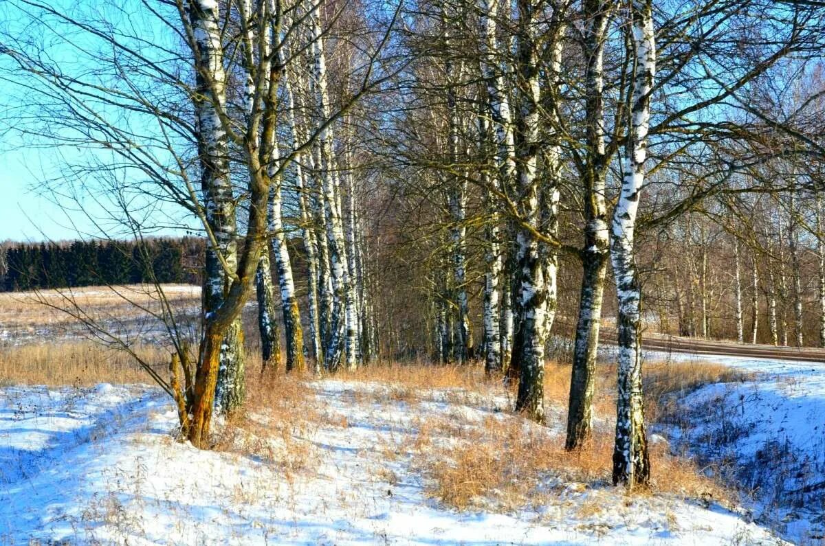 До наступления зимы. Зима наступила картинки. До наступления зимы. Поздняя осень. До наступления зимы.