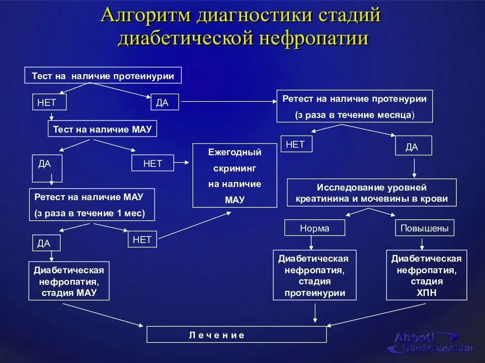 Алгоритмы сд 2022. Диабетическая нефропатия патогенез. Диабетическая нефропатия патогенез схема. Механизм формирования ХБП при СД схема. Механизм развития диабетической нефропатии.