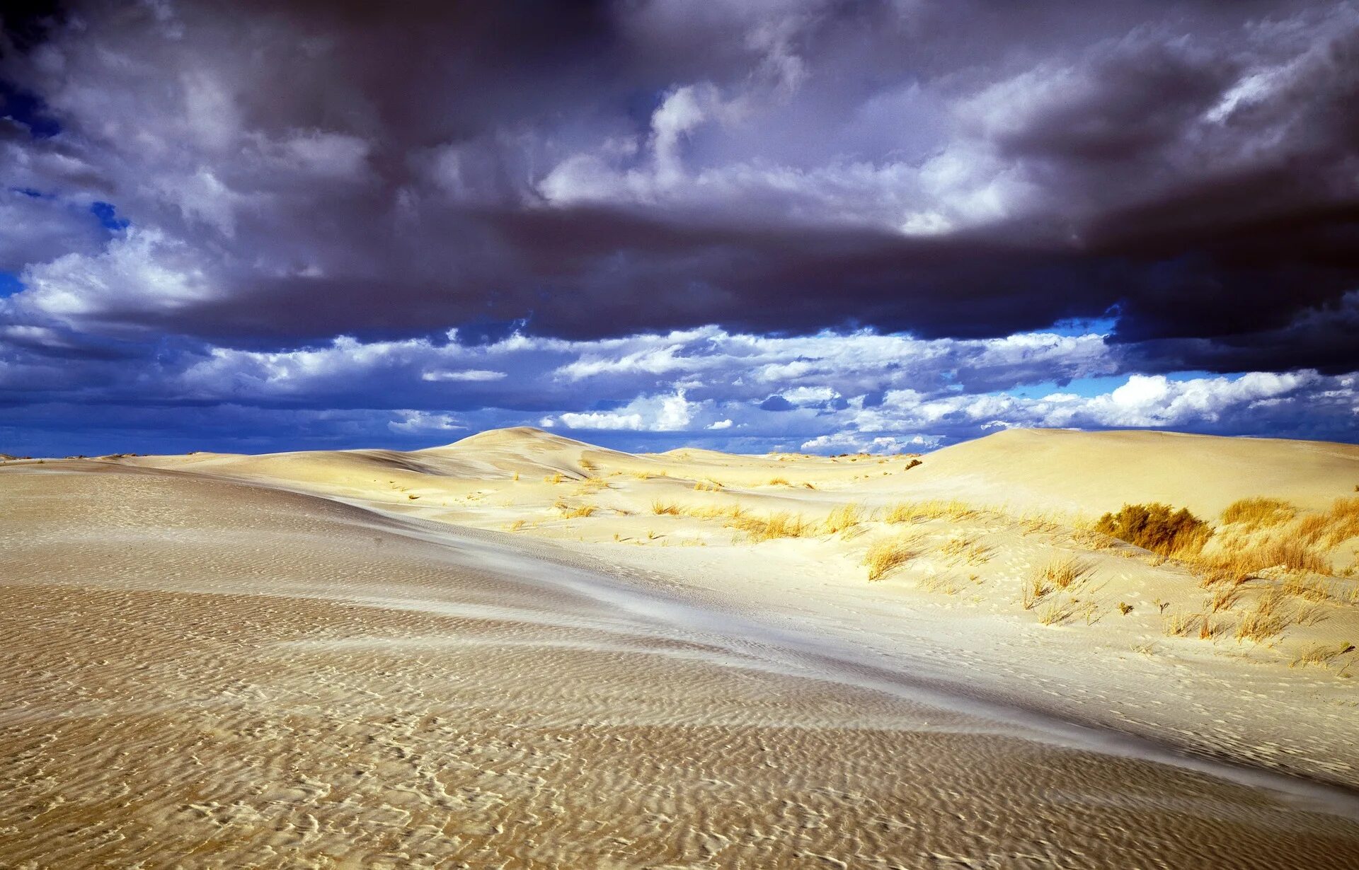 Песчаные холмы Небраски. Пустыня Небраска. Прибрежные дюны Израиля. Пустыня пейзаж.