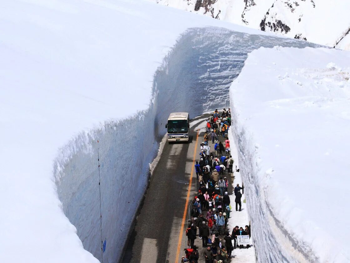 Дорогу в глубоком снегу. Снежный коридор Татэяма Куробэ в Японии. Дорога Татэяма Куробэ. Горный маршрут Татэяма Куробэ. Сугробы в Японии 20 метров.