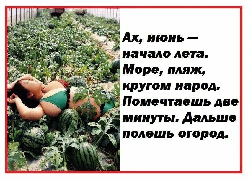 Весело весело цвела цвел