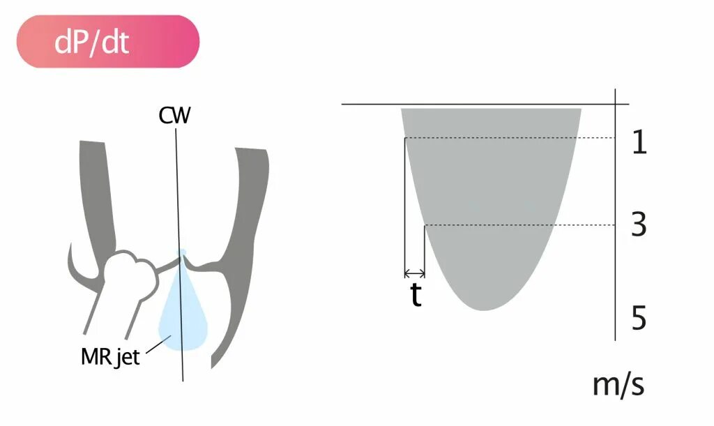 Function echo