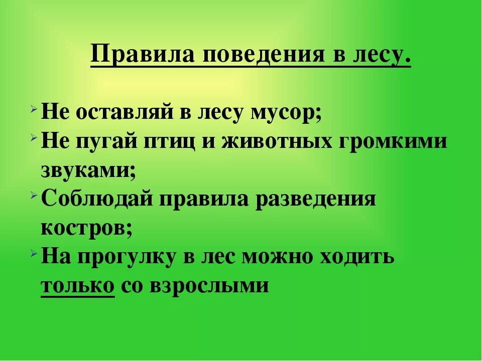 Правила поведения в лесу. Правда поведения в лесу. Правила поведения влес. Правилаьповедения в лесу. Слит правила