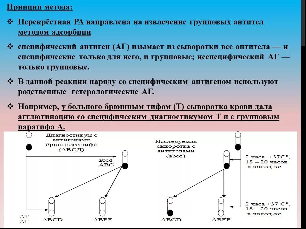 Метод перекрестные группы. Перекрестная реакция антител. Перекрестная реакция антигенов. Перекрестное реагирование антител. Перекрестное реагирование антигенов и антител это.