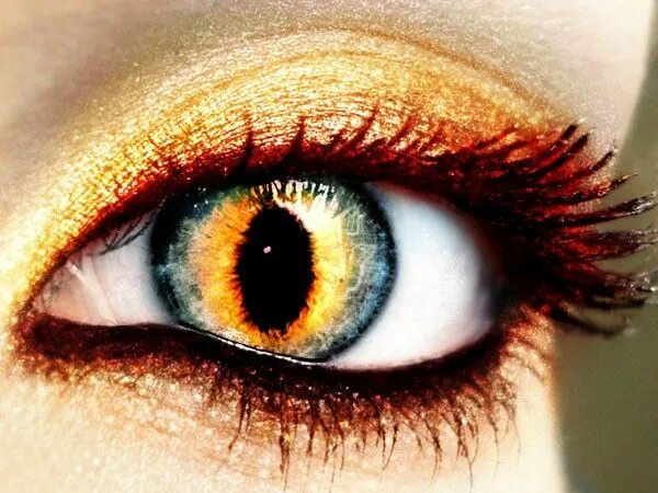 amber eyes II by Helen-Carter on DeviantArt Amber eyes color, Rare eye colors, A